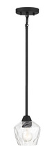 Minka-Lavery 2171-66A - CAMRIN - 1 LIGHT PENDANT / SEMI FLUSH