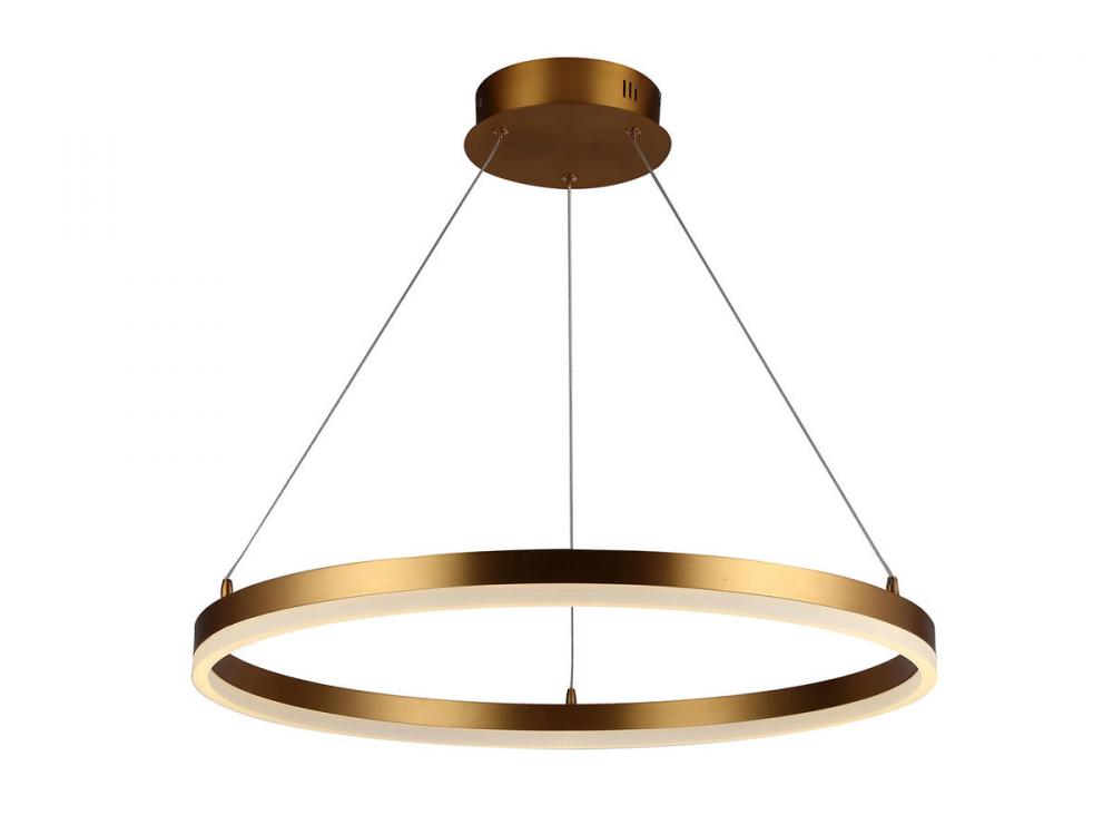 Circa 24" LED  Ring Pendant in Gold