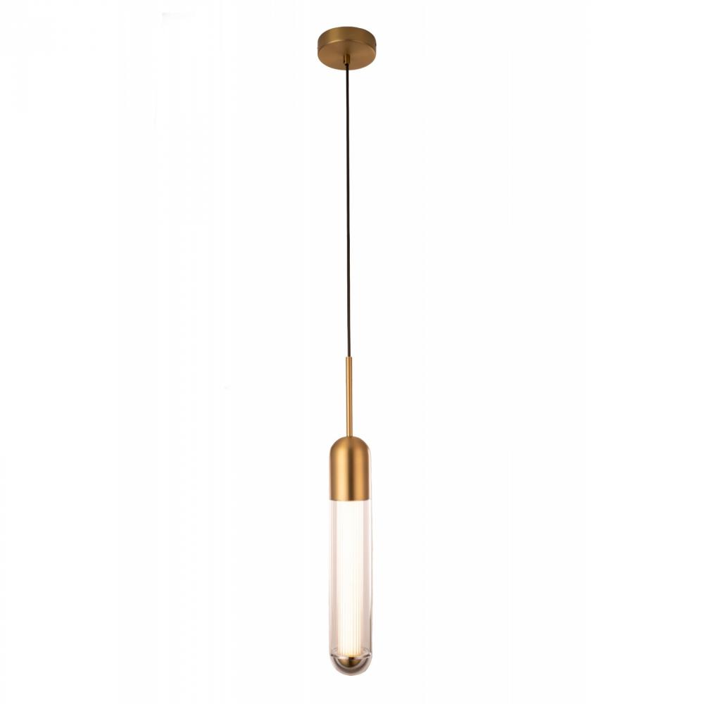 Nautilus  Pendant In Aged Brass